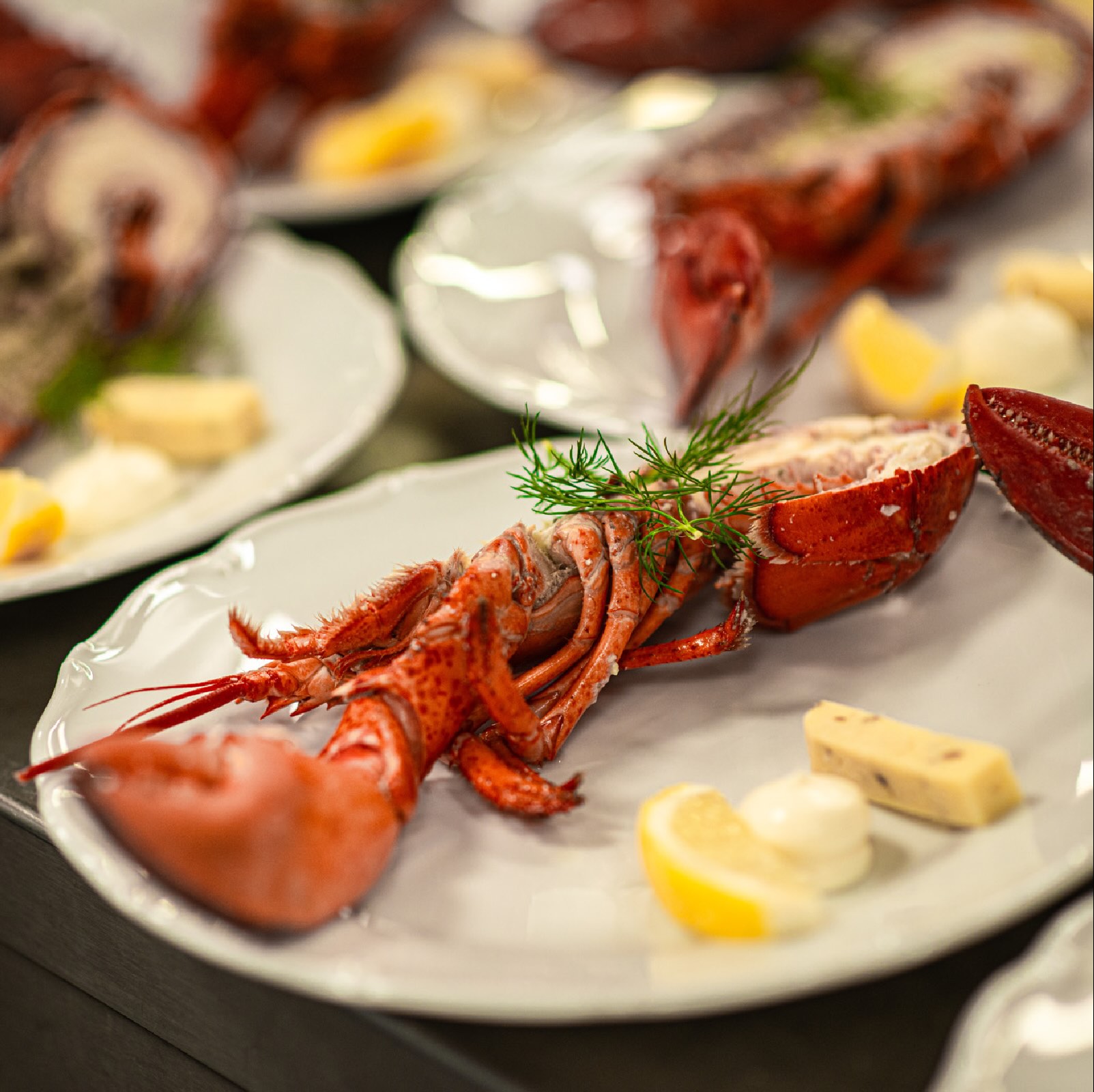 Hummer (kopia)